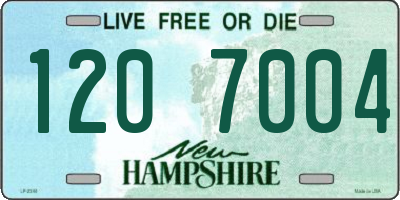 NH license plate 1207004