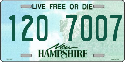 NH license plate 1207007