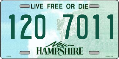 NH license plate 1207011