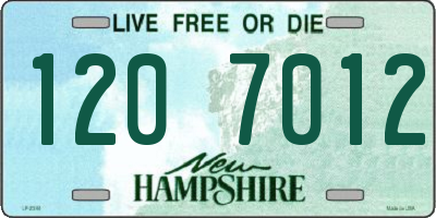 NH license plate 1207012