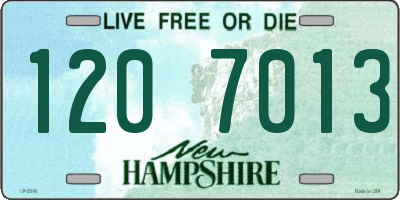 NH license plate 1207013
