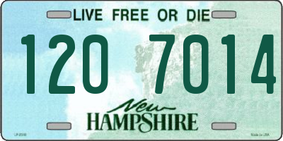 NH license plate 1207014