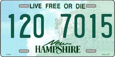 NH license plate 1207015