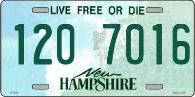 NH license plate 1207016