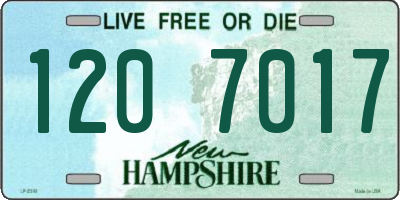 NH license plate 1207017