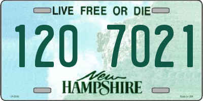 NH license plate 1207021