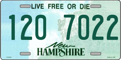 NH license plate 1207022