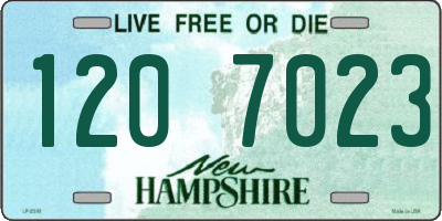 NH license plate 1207023