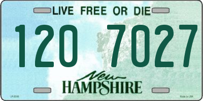 NH license plate 1207027