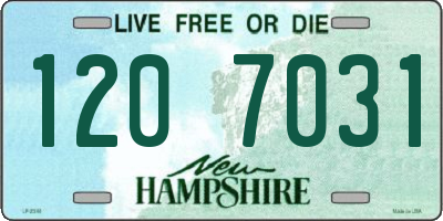 NH license plate 1207031