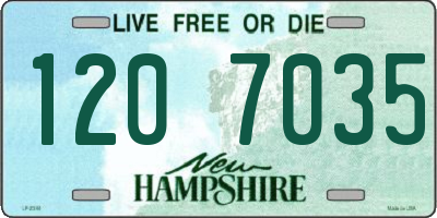 NH license plate 1207035