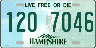 NH license plate 1207046