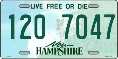 NH license plate 1207047