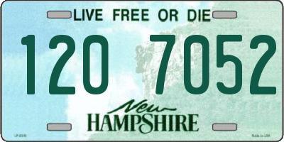 NH license plate 1207052