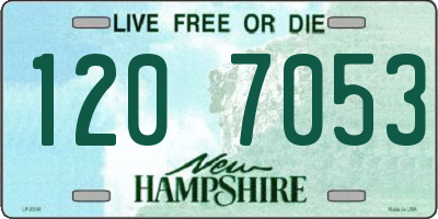 NH license plate 1207053