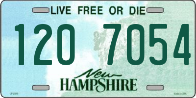 NH license plate 1207054