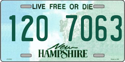 NH license plate 1207063