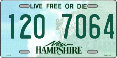 NH license plate 1207064