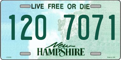NH license plate 1207071