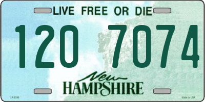 NH license plate 1207074