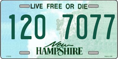 NH license plate 1207077