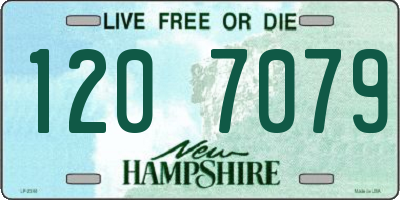NH license plate 1207079