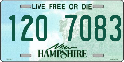 NH license plate 1207083