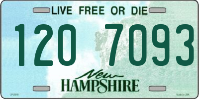NH license plate 1207093