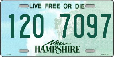 NH license plate 1207097