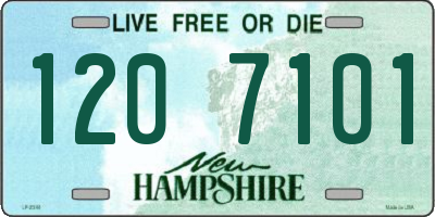 NH license plate 1207101