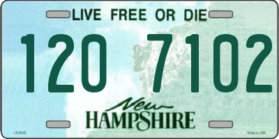 NH license plate 1207102