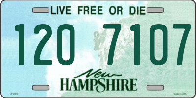 NH license plate 1207107