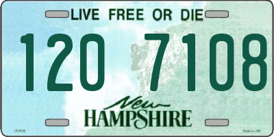 NH license plate 1207108