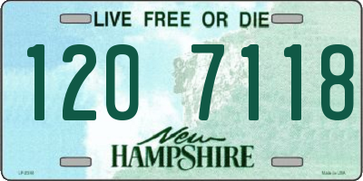 NH license plate 1207118