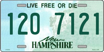 NH license plate 1207121