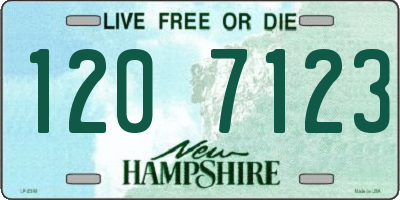 NH license plate 1207123