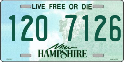 NH license plate 1207126
