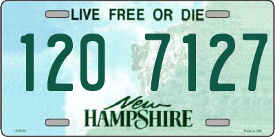 NH license plate 1207127