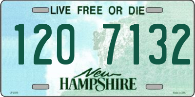 NH license plate 1207132