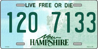 NH license plate 1207133
