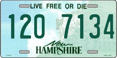 NH license plate 1207134