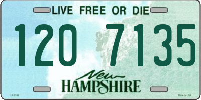 NH license plate 1207135