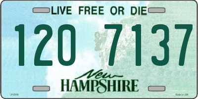 NH license plate 1207137