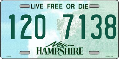 NH license plate 1207138