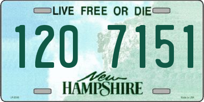 NH license plate 1207151