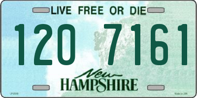 NH license plate 1207161