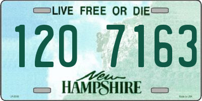 NH license plate 1207163
