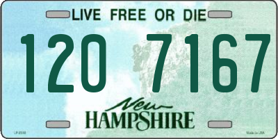 NH license plate 1207167