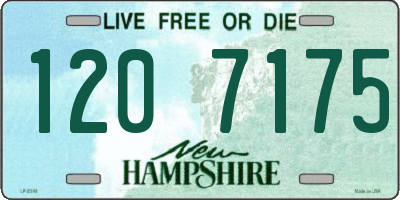 NH license plate 1207175