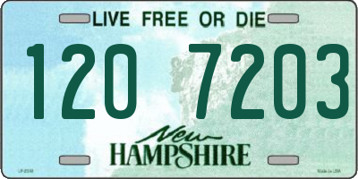 NH license plate 1207203